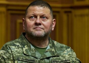 Экс-главком ВСУ признал, что Запад помогал Киеву в разработке военных операций против России