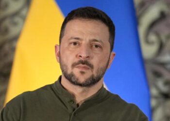 Владимир Зеленский заявил, что Украине не хватит сил вернуть утраченные территории