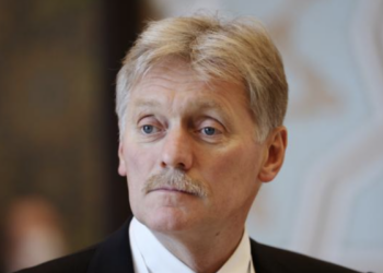 В Кремле заявили, что подход Путина по урегулированию украинского кризиса поддержали многие страны