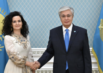 Токаев принял исполнительного директора Зеленого климатического фонда