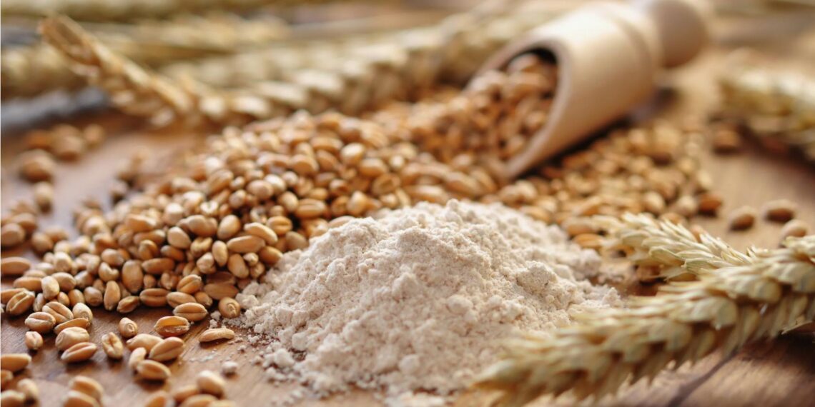 Казахстан делает ставку на переработку зерна: стратегия, рост и экспортные амбиции