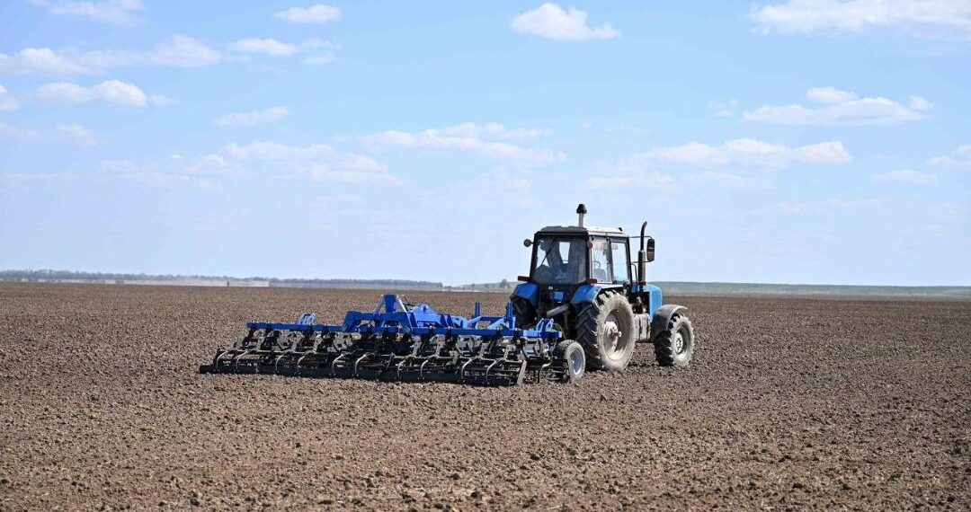 В Республике Казахстан успешно завершена посевная кампания