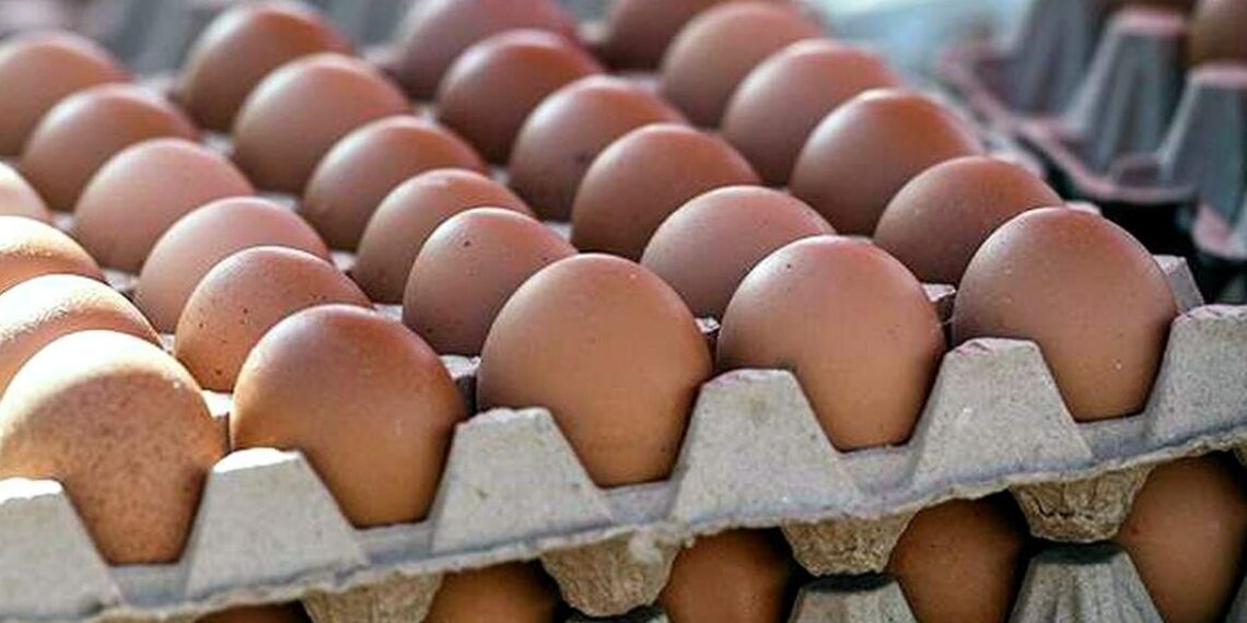 Россия удвоила экспорт яиц в Казахстан — объём превысил $6 млн