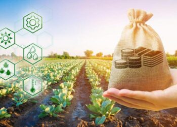 Продкорпорация погасила краткосрочные облигации на 14 млрд тенге