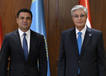 Глава государства провел встречу с главным исполнительным директором Tiryaki Holding