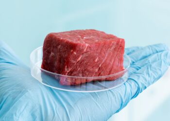 Сообщения о завозе в Астану зараженного мяса не соответствуют действительности