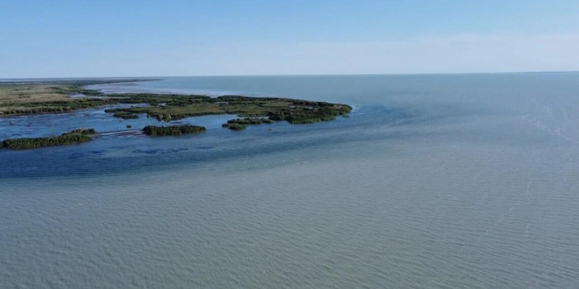 Уровень озера Балхаш с начала 2025 года вырос на 32 сантиметра