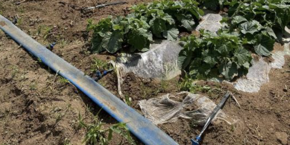 В Карагандинской области обнаружены факты незаконного водозабора из подземных скважин