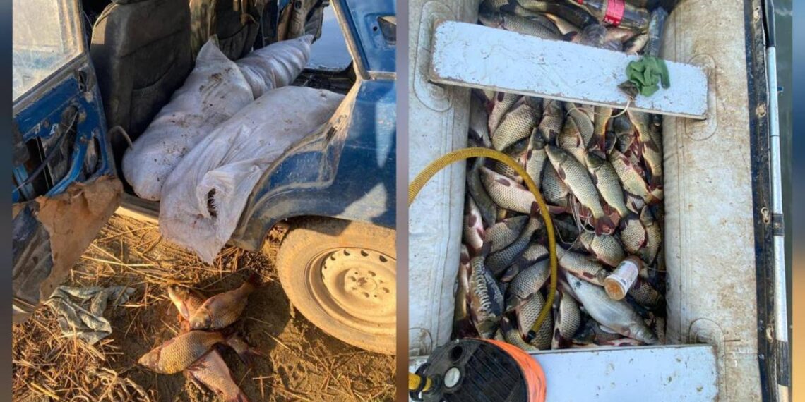 Полицейские задержали за незаконное рыболовство пятерых жителей ВКО