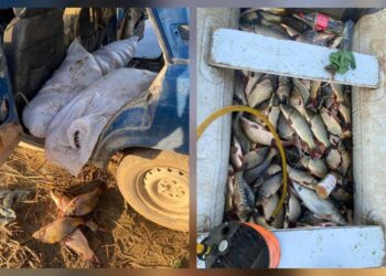 Полицейские задержали за незаконное рыболовство пятерых жителей ВКО