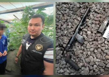 Житель одного из сел Костанайской области задержан за выращивание марихуаны