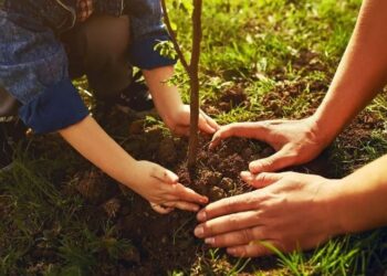 Экспедиция «Сердце Евразии» добралась до Джалал-Абада и высадила деревья в Парке дружбы