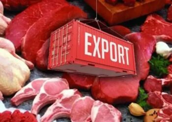 Казахстан наращивает экспорт говядины и баранины — прирост вдвое за год