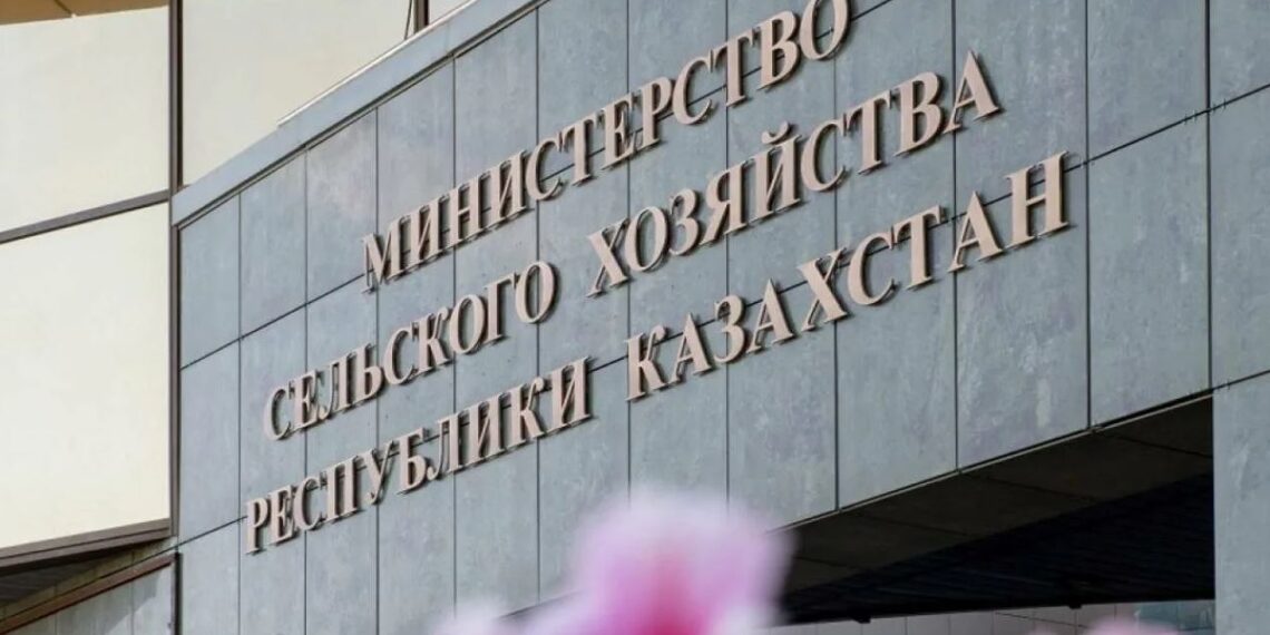 Казахстан расширяет льготное кредитование на мясную отрасль