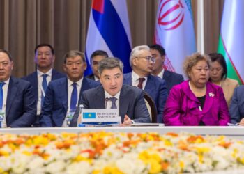 Олжас Бектенов принял участие в заседании ЕМПС в расширенном формате