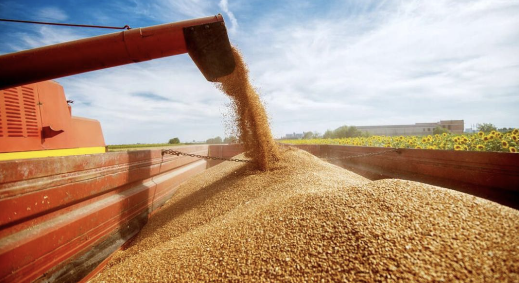 Минсельхоз РК: экспорт зерна нового урожая превысил 9,8 млн тонн