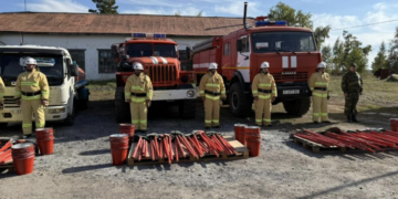 Глава Минэкологии и природных ресурсов посетил Аккольское лесничество