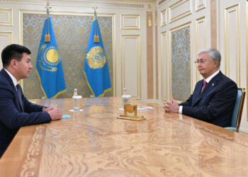 Глава государства принял президента Казахстанской федерации бокса