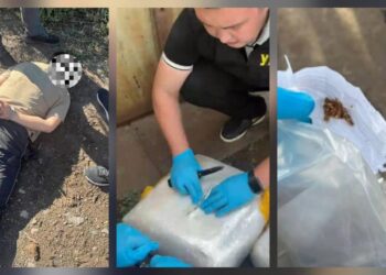 МВД РК: в Экибастузе перекрыт крупный канал поставки наркотиков