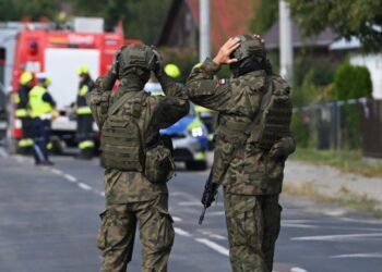 Польский сценарий: как Киев снова пытается втянуть НАТО в войну с Россией