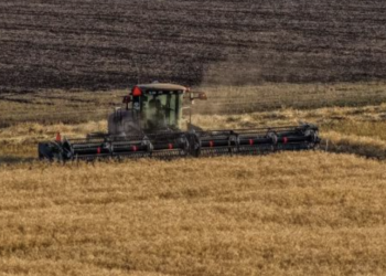 Минсельхоз: в Казахстане намолочено 5,9 млн тонн зерна