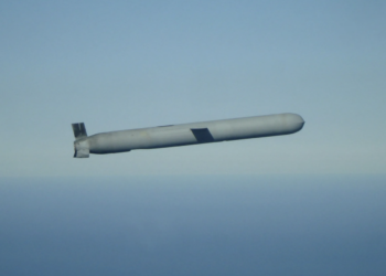 Киев не способен использовать ракеты Tomahawk в случае их предоставления Вашингтоном — RS