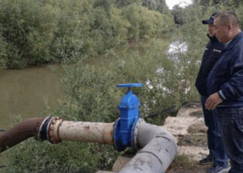 Нарушителям водного законодательства в ходе вегетационного периода 2025 года выписано 310 штрафов