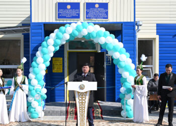 В области Жетысу в преддверии Дня республики открылись 8 новых медицинских объектов