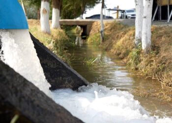 С 2026 года аграрии будут заключать договоры о подаче поливной воды в электронном формате