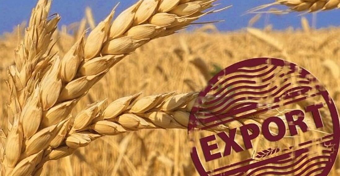 Минсельхоз: экспорт зерна нового урожая составил 2 миллиона тонн