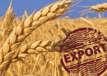 Минсельхоз: экспорт зерна нового урожая составил 2 миллиона тонн