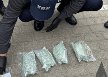 МВД: в Актау изъята крупная партия синтетического наркотика