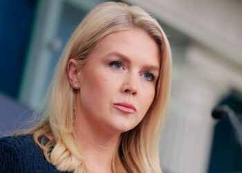 В Белом доме заявили, что Дональд Трамп прекратил финансирование украинского конфликта