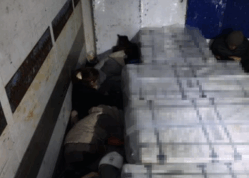 В Погранслужбе КНБ Казахстана сообщили о пресечении попытки незаконной миграции