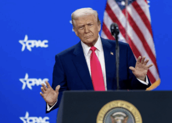 Трамп усиливает давление на Зеленского ради уступок в переговорах — Bild