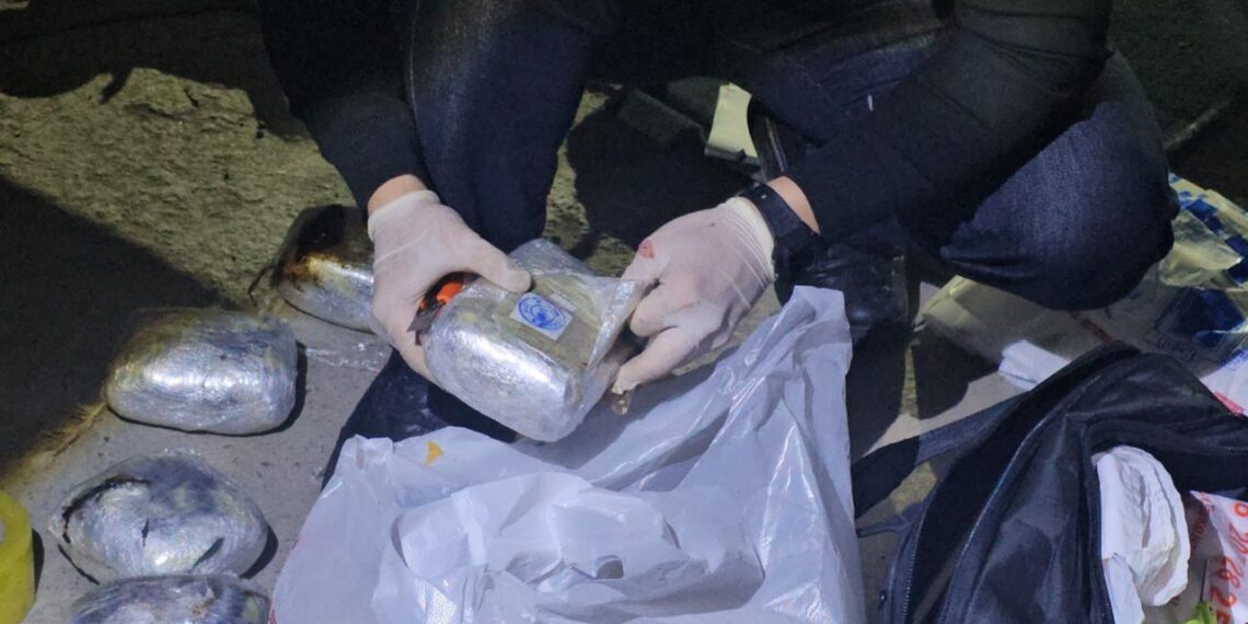 Пограничники пресекли попытку провоза крупной партии наркотиков