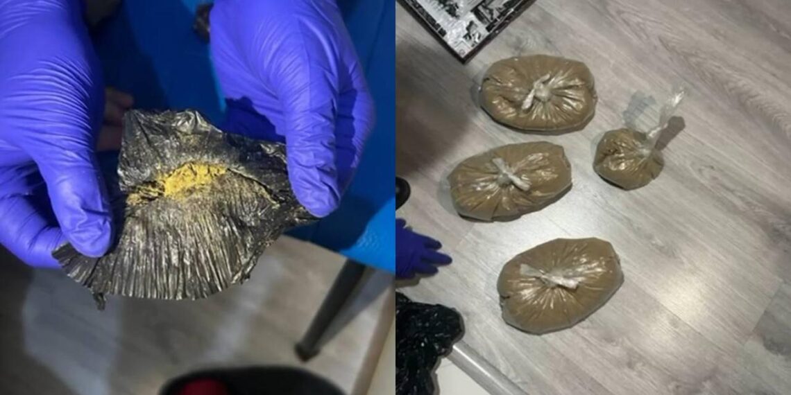 В Алматы пресечен крупный канал поставки наркотиков — МВД РК