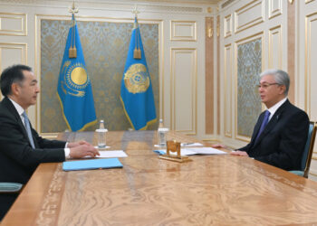 Глава государства провел встречу с председателем Коллегии ЕЭК