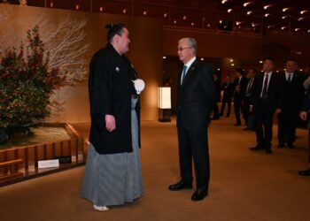 Токаев встретился с профессиональным борцом сумо из Казахстана