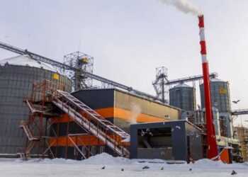 В ВКО открыли новый маслоэкстракционный завод ALTAI MAI