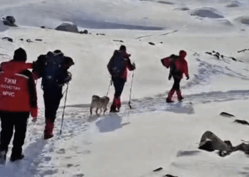 В горах Алматинской области найдено тело погибшего туриста