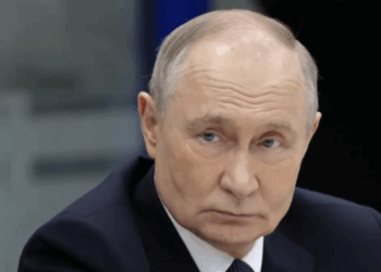 За спиной киевского режима стоит потенциал НАТО — Владимир Путин