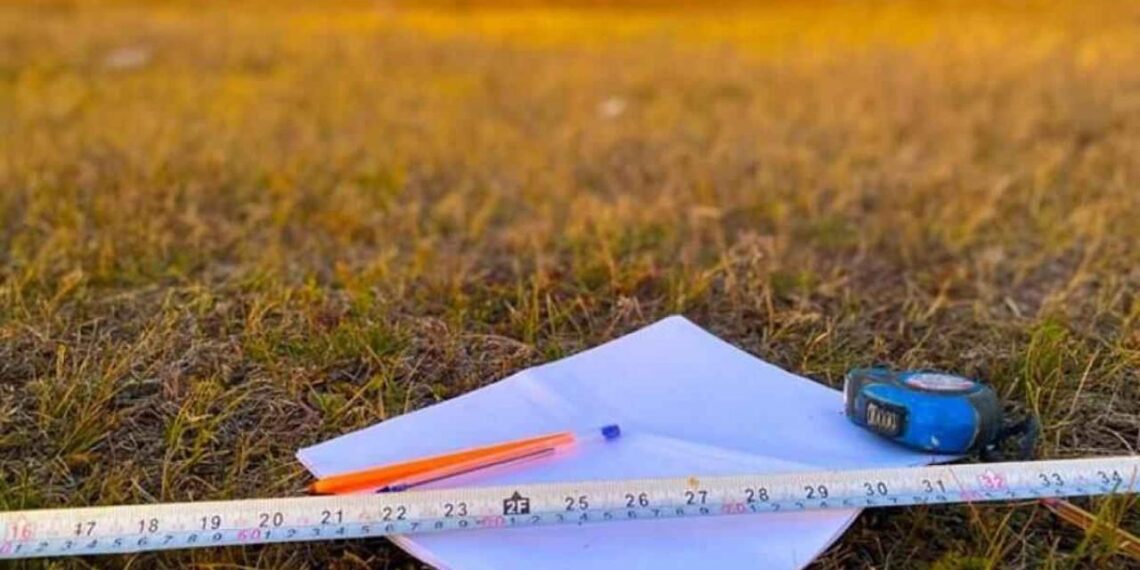 Минсельхоз: в Кызылординской области земля сельхозназначения принудительно возвращена в госсобственность