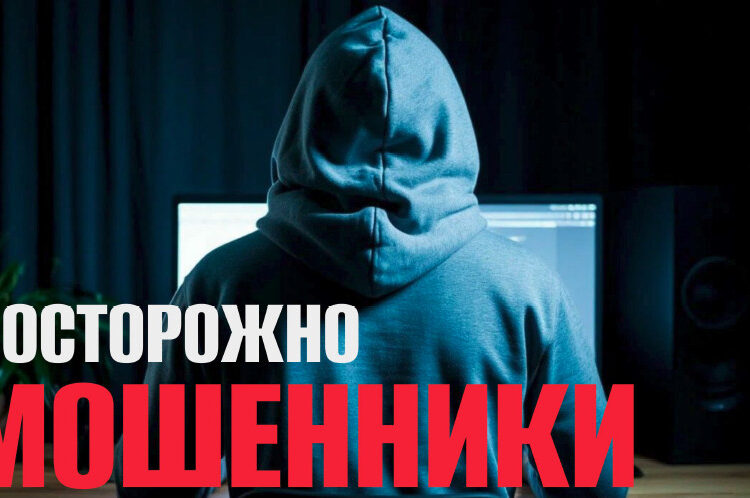 В Генпрокуратуре предупредили о новой схеме мошенников с фальшивыми онлайн-библиотеками