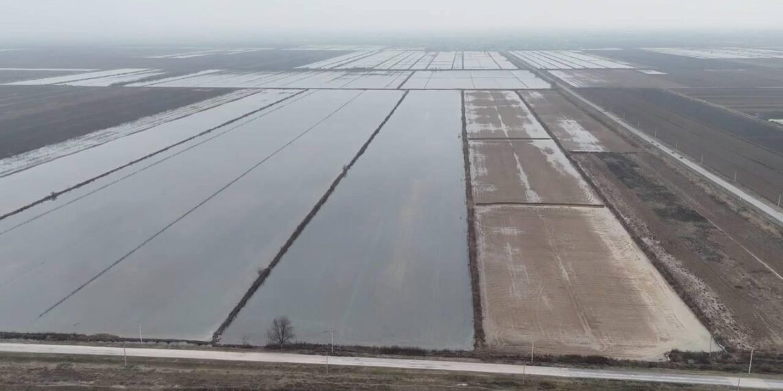 В Туркестанской области проводится промывка почвы на более чем 100 тысячах гектаров орошаемых земель