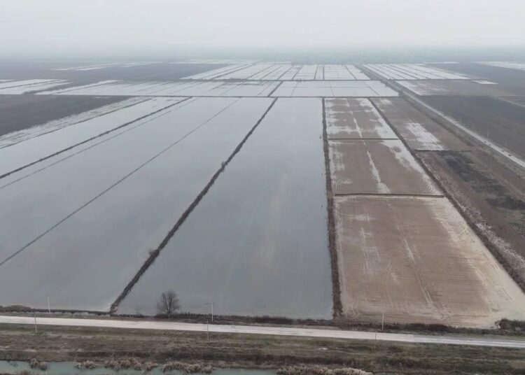 В Туркестанской области проводится промывка почвы на более чем 100 тысячах гектаров орошаемых земель