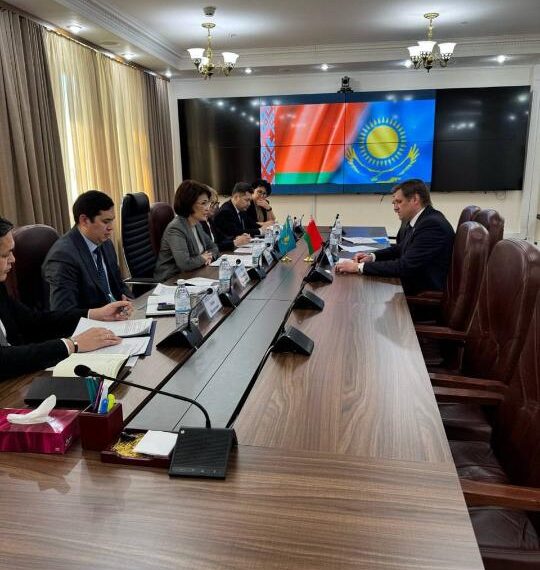 Глава Минздрава Казахстана встретилась с послом Беларуси