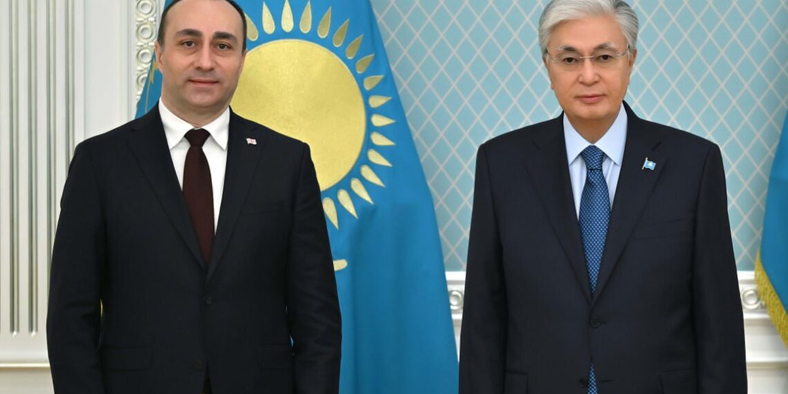 Глава государства принял министра внутренних дел Грузии