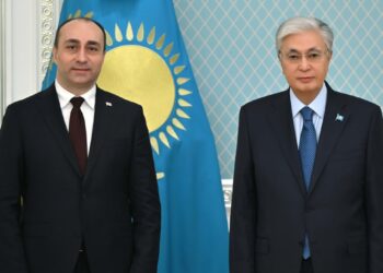 Глава государства принял министра внутренних дел Грузии