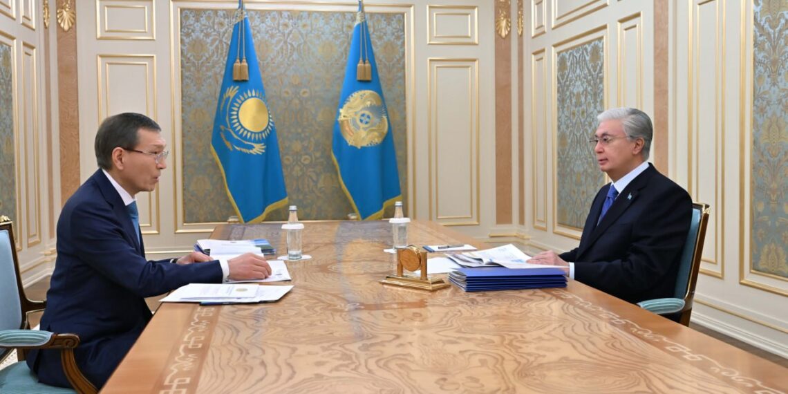 Касым-Жомарт Токаев принял председателя ЦК референдума